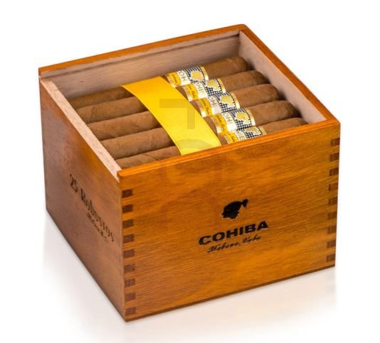 Cohiba Robusto